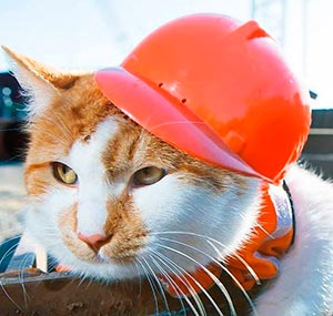 ��� ��������� �����